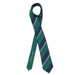 土佐兄弟コラボネクタイ＜社会人応援＞シルクブレンドストライプネクタイ/グリーン×ネイビー/「ヤキニクタベタイ」