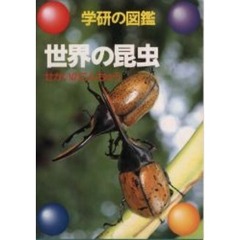 世界の昆虫