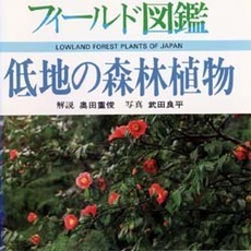 低地の森林植物