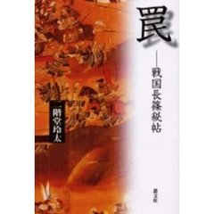 罠　戦国長篠秘帖