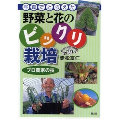 写真でとらえた野菜と花のビックリ栽培　プロ農家の技　松っちゃんのカメラ訪問記