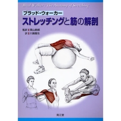 ストレッチングと筋の解剖