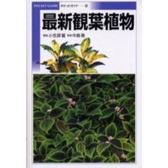 最新観葉植物