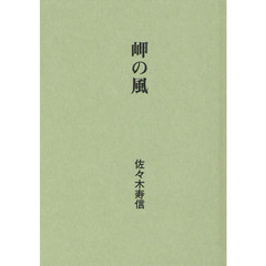 岬の風