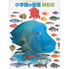 小学館の図鑑ＮＥＯ　　　４　魚