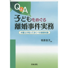 Ｑ＆Ａ子どもをめぐる離婚事件実務　弁護士が知っておくべき基礎知識