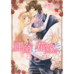 運命は花嫁をさらう