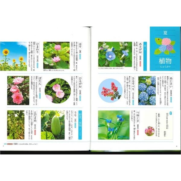 季節の言葉 〔2〕 夏の言葉 通販｜セブンネットショッピング