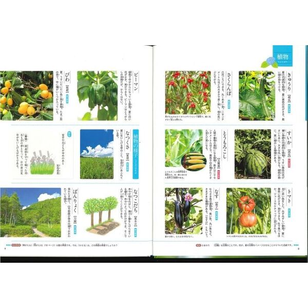 季節の言葉 〔2〕 夏の言葉 通販｜セブンネットショッピング