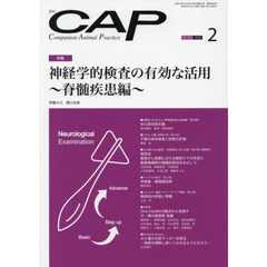 ＣＡＰ　３６８