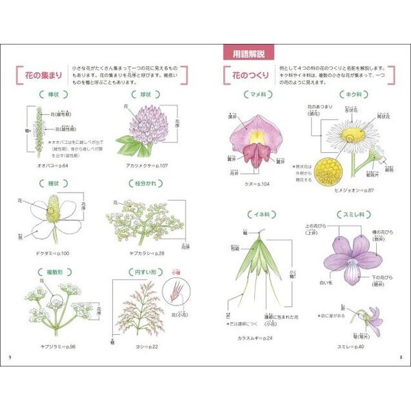 【中古】 山菜と野草 見分け方と食べ方/主婦と生活社/吉村衛 中古】 山菜と野草 見分け方と食べ方/主婦と生活社/吉村衛 中古】