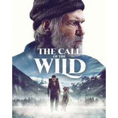 野性の呼び声（Ｕｌｔｒａ ＨＤ Ｂｌｕ－ｒａｙ）