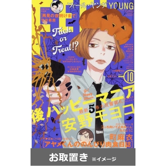 ＦＥＥＬ ＹＯＵＮＧ（フィールヤング） (雑誌お取置き)1年12冊 通販