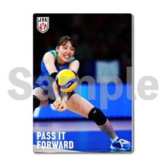 【バレーボール女子日本代表】メタルディスプレイ  セルビア戦 02