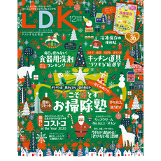 LDK (エル・ディー・ケー) 2020年12月号