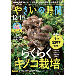 ＮＨＫ 趣味の園芸 やさいの時間 2023年12月・1月号