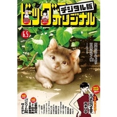 ビッグコミックオリジナル 2025年11号（2025年5月20日発売)