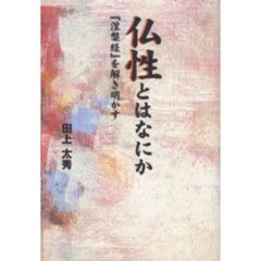 仏性とはなにか　『涅槃経』を解き明かす