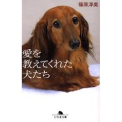 愛を教えてくれた犬たち
