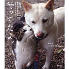 待ってたよ。　北海道犬ナナちゃんと野良猫ヒロちゃんの早朝ものがたり