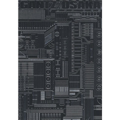 ＧＡＮＴＺ／ＯＳＡＫＡ　１
