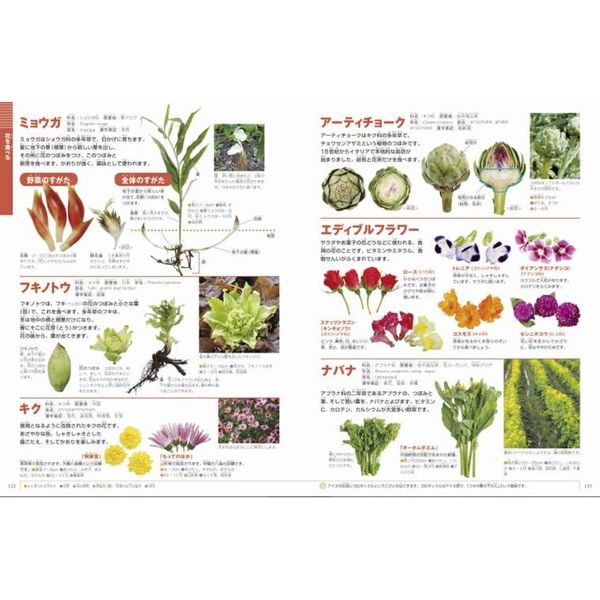 野菜と果物 通販｜セブンネットショッピング