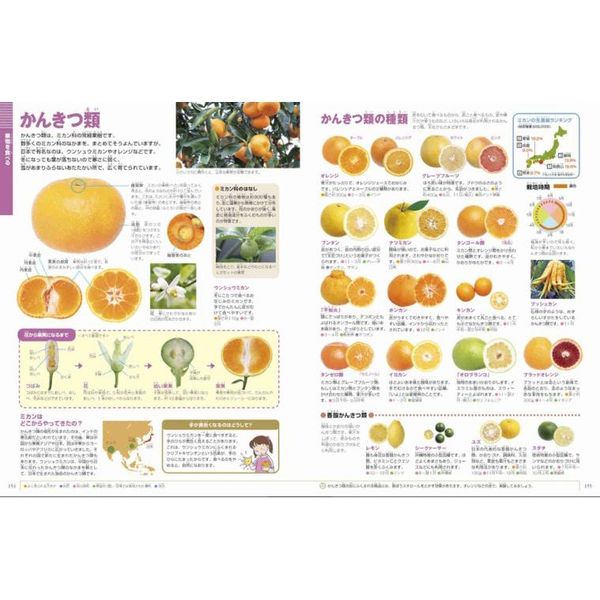 野菜と果物 通販｜セブンネットショッピング