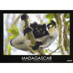 MADAGASCAR―マダガスカル