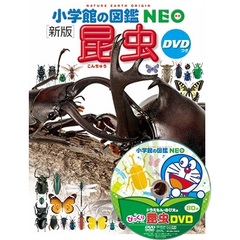 小学館の図鑑NEO〔新版〕　昆虫　DVDつき　新版