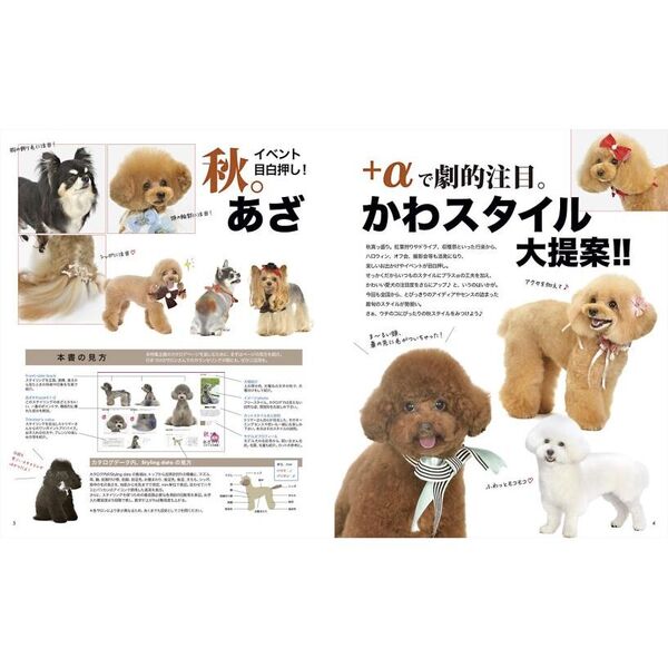 トリムノート Dog hair Collection vol．8 通販
