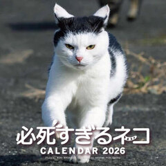 ２０２６必死すぎるネコカレンダー