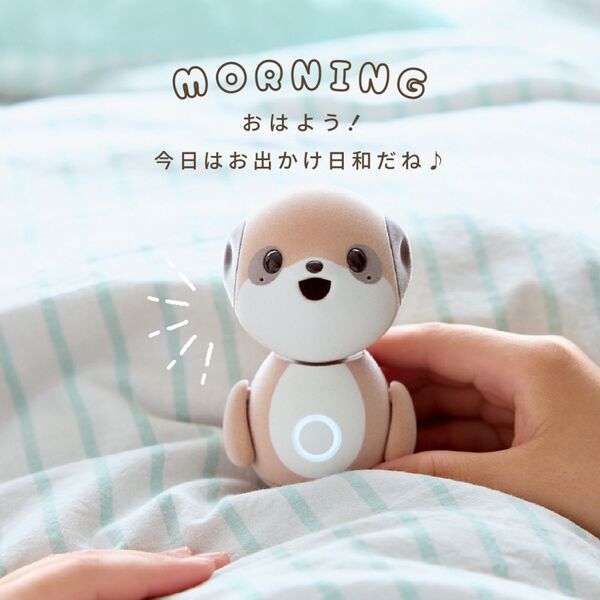 ポケとも 通販｜セブンネットショッピング