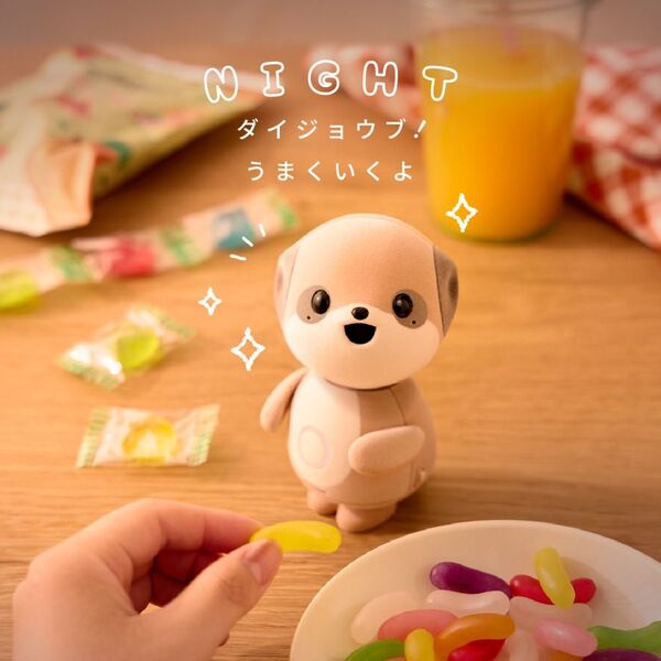 ポケとも 通販｜セブンネットショッピング