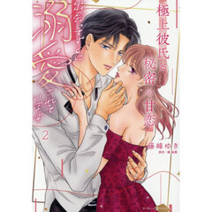 極上彼氏と秘密の甘恋　出会ってすぐに溺愛されています　２