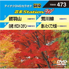 テイチクDVDカラオケ　音多Station　W（ＤＶＤ）