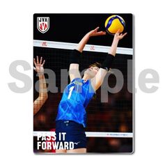 【バレーボール女子日本代表】メタルディスプレイ  セルビア戦 03