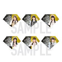 【SKE48】35th SG「Karma」チーム別アクリルスタンド（ランダム全13種）【チームS】