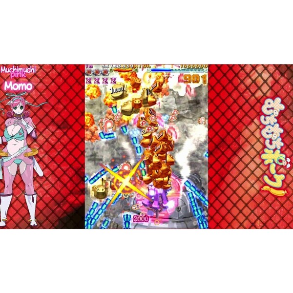 Nintendo Switch むちむちポーク！＆ピンクスゥイーツ Boosted 通販