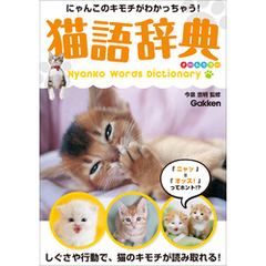 猫語辞典 オールカラー にゃんこのキモチがわかっちゃう！