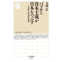 バブルと資本主義が日本をつぶす　――人口減と貧困の資本論