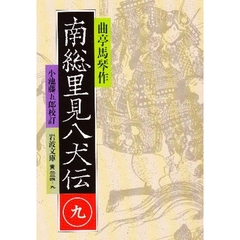 南総里見八犬伝　９