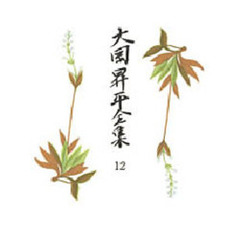 大岡昇平全集　１２
