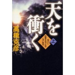 天を衝く　秀吉に喧嘩を売った男・九戸政実　上