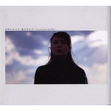 世界の中心で、愛をさけぶ～Ｖｉｓｕａｌ　ｓｔｏｒｙ　ＢＯＯＫ～