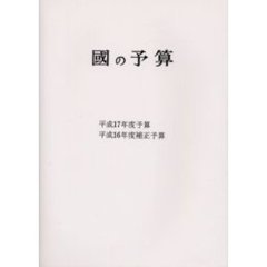 国の予算　平成１７年度