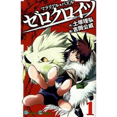 マテリアル･パズル ゼロクロイツ　1