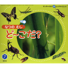 サンチャイルド・ビッグサイエンス　２０１０－７　なつのむしど～こだ？