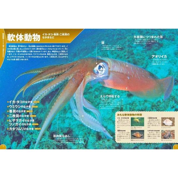 学研の図鑑LIVE 水の生き物 通販|セブンネットショッピング 学研の図鑑LIVE 水の生き物 通販|セブンネットショッピング