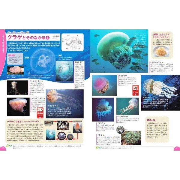 学研の図鑑LIVE　水の生き物