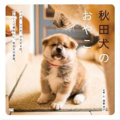 秋田犬のおやこ　パパ犬、ママ犬、子犬が４匹。かわいくて愛おしい、秋田犬の家族。